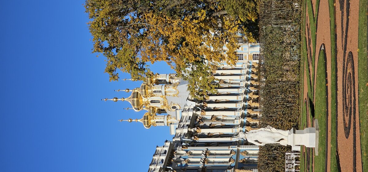 Екатерининский парк - Юлия Голикова