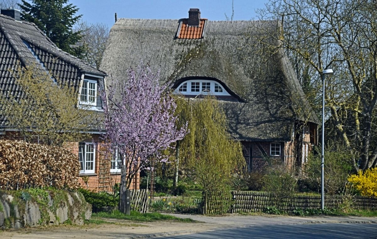 Пора цветения - Галина Шеина-Мюльдорфер