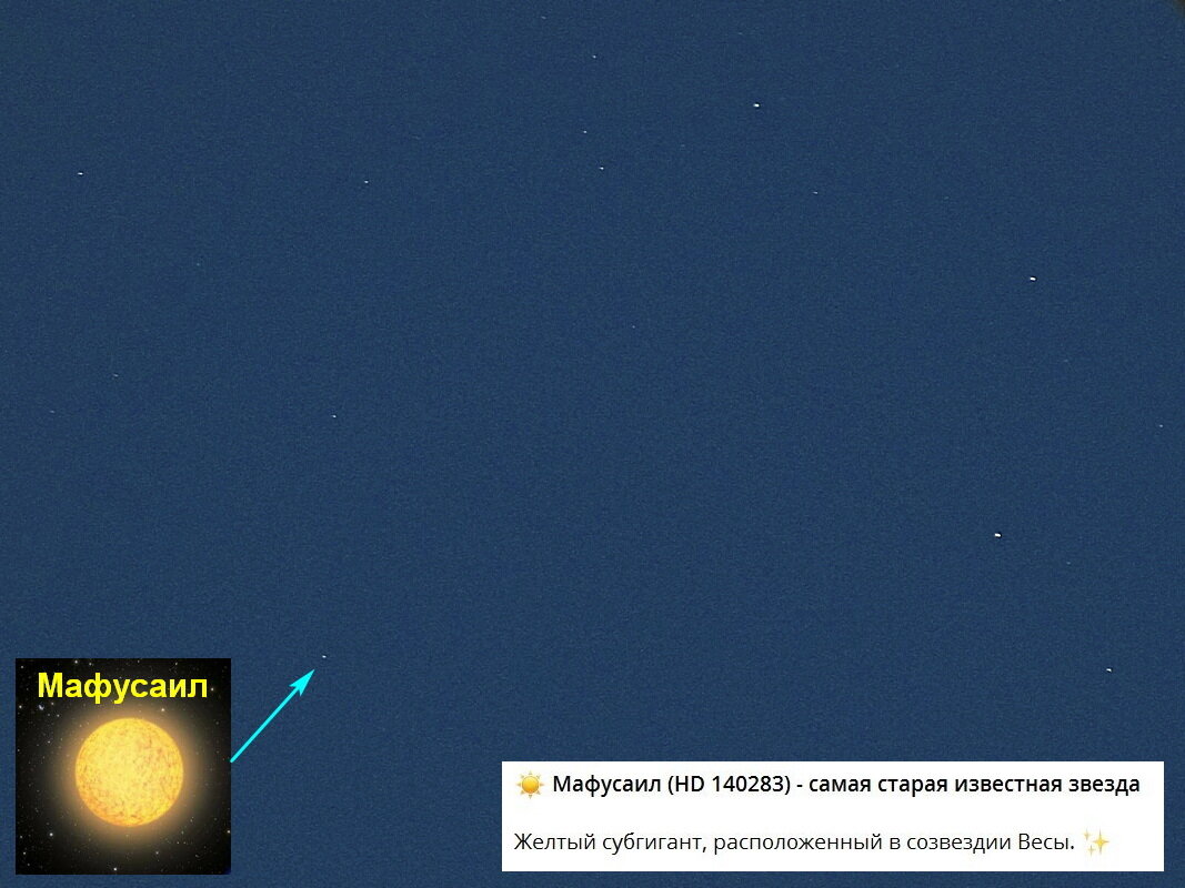 звезда Мафусаил - Сеня Белгородский