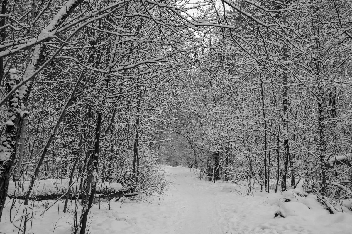 ...the last? - AL Reborn 