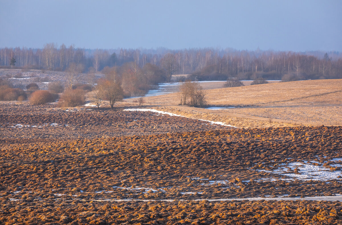 **** - Елизавета .
