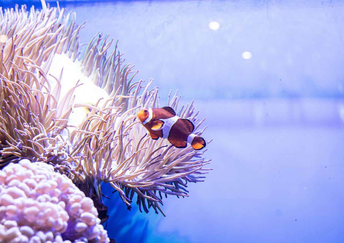 :) - Анастасия Фотографовна