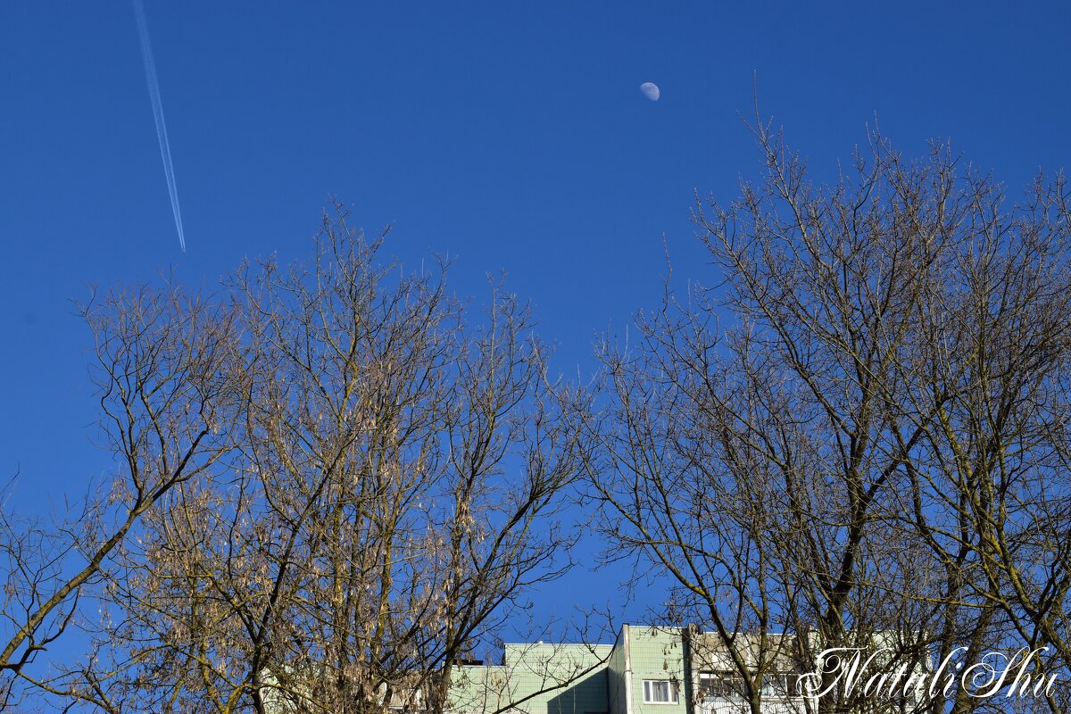 Луна и самолёт. - Наталья Вязигина