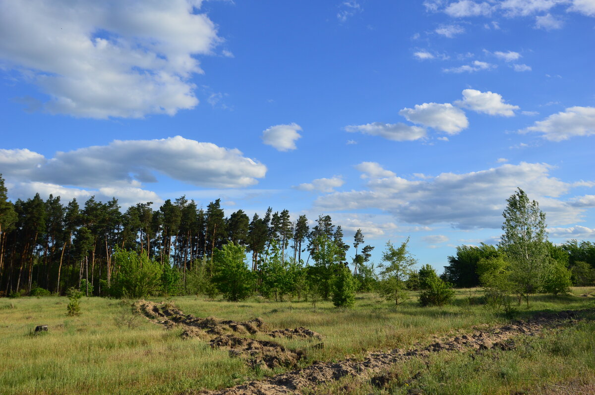 *** - Виктор *** - Виктор