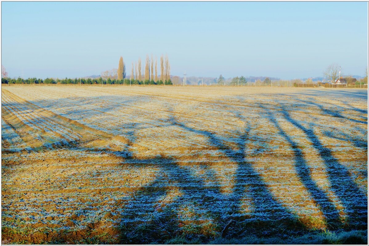 ТЕНИ... - Elvira E. 