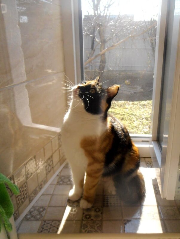 Созерцание невидимого... - Наталья Созерцание невидимого... - Наталья