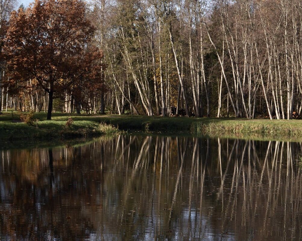 Осень в Карелии - Ирина Картина