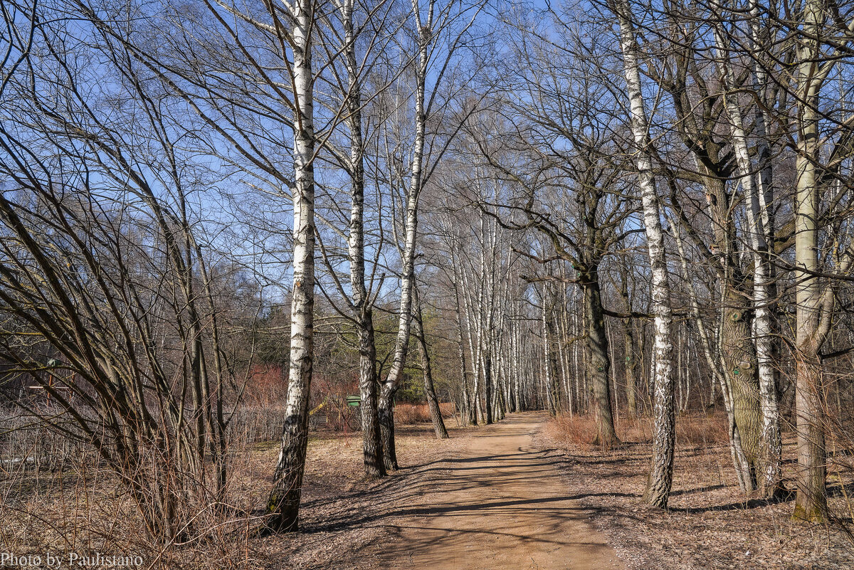 Бесснежный март... - Владимир Жданов Бесснежный март... - Владимир Жданов