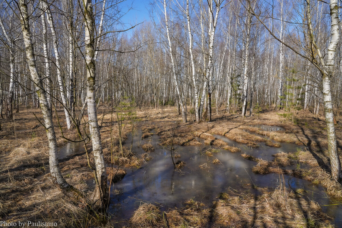 Бесснежный март... - Владимир Жданов Бесснежный март... - Владимир Жданов
