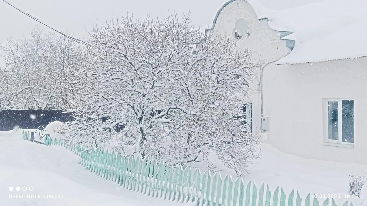 снежное покрывало марта - Ольга Конькова