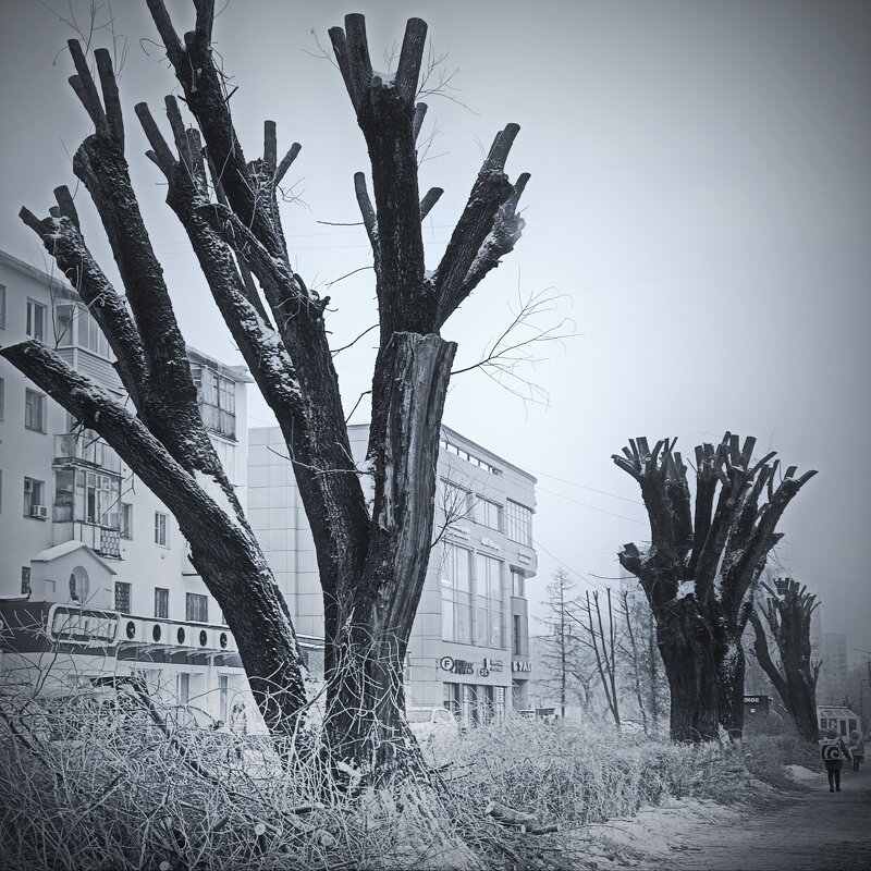 На пр. Ленина... - Владимир Шошин На пр. Ленина... - Владимир Шошин