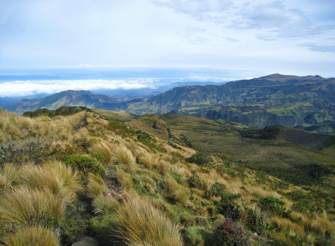 Кусочек горной Колумбии. - unix (Илья Утропов)