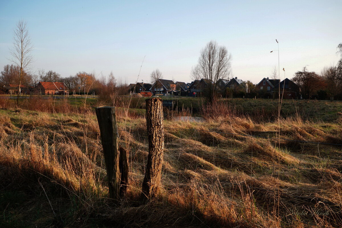 Из прогулки вокруг города... - Николай Гирш