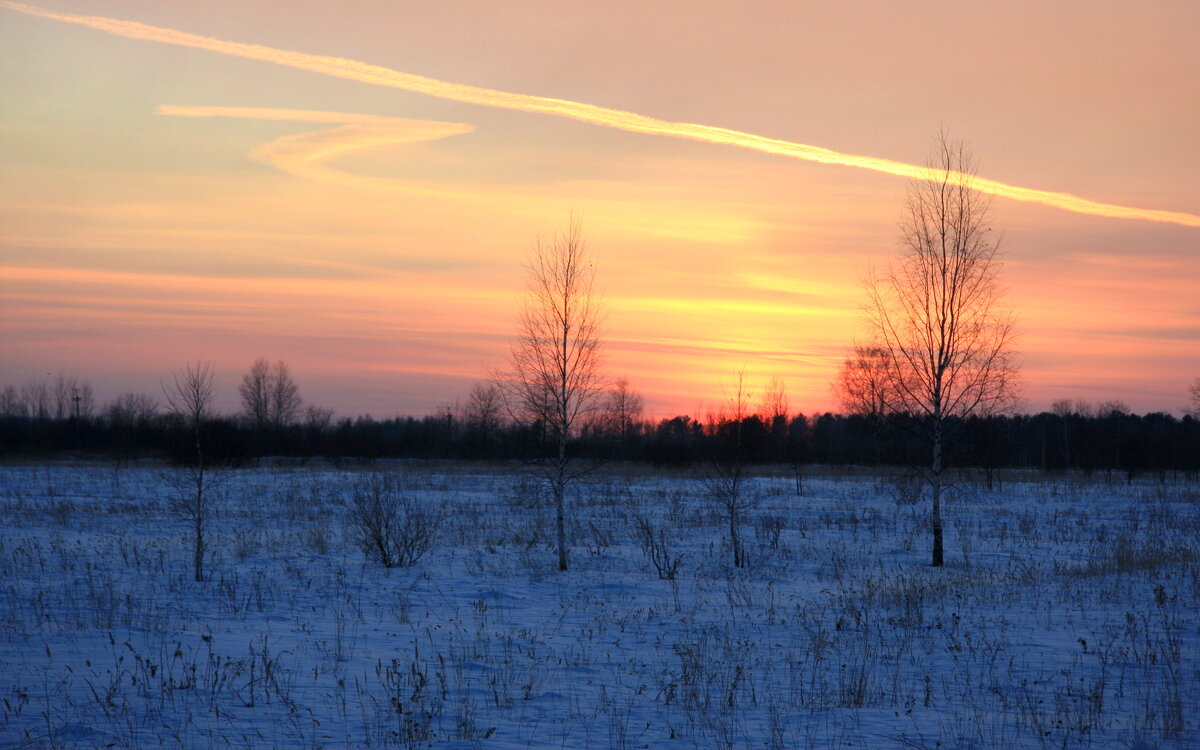 Росчерки заката - Нэля Лысенко Росчерки заката - Нэля Лысенко