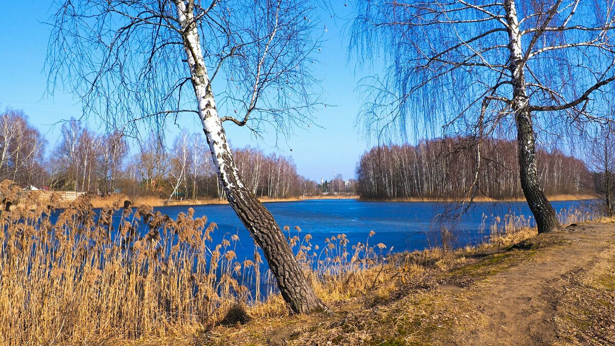 Весна на Смоленщине. - Милешкин Владимир Алексеевич Весна на Смоленщине. - Милешкин Владимир Алексеевич