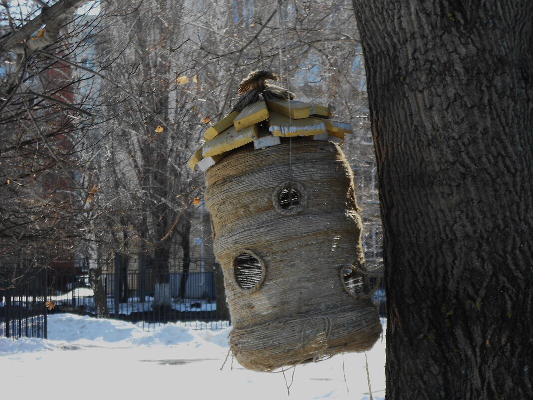 .......... - Елена Шаламова .......... - Елена Шаламова