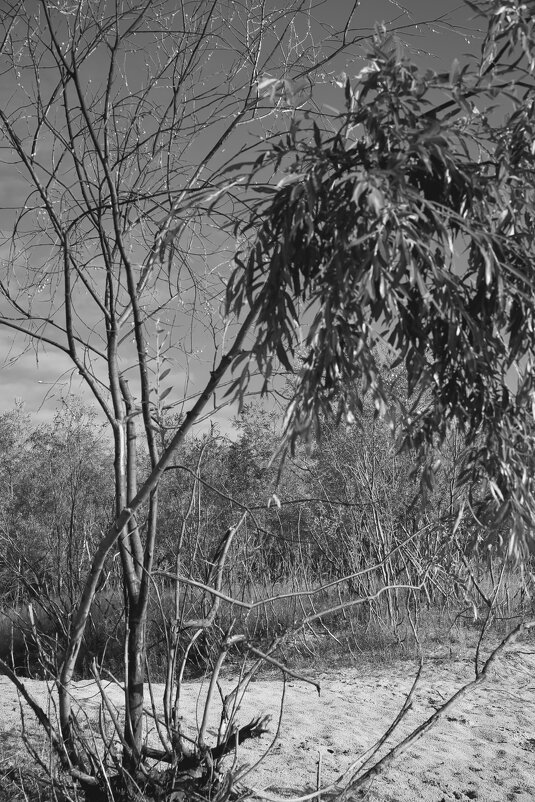 Название отсутствует - Денис Безногов Название отсутствует - Денис Безногов