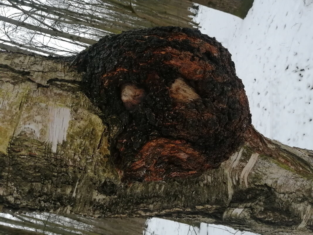 ВЕСЕННИЙ АВИТАМИНОЗ - Юрий Вовк