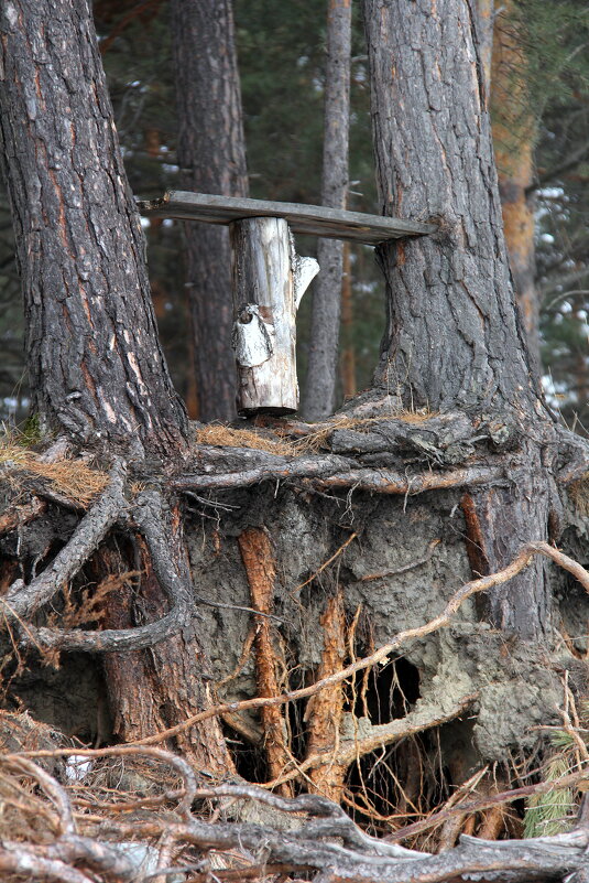 Скамеечка - Vlad Сергиевич Скамеечка - Vlad Сергиевич