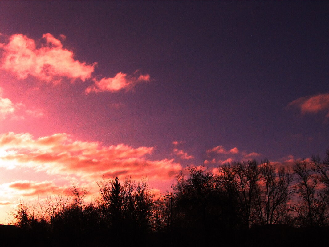 Пылающее утро - Людмила Смородинская Пылающее утро - Людмила Смородинская