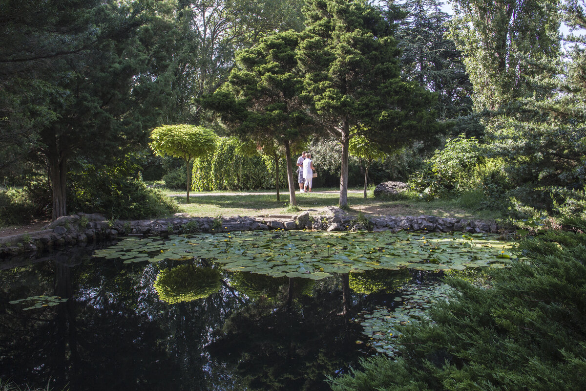Двое в парке - Валентин Семчишин