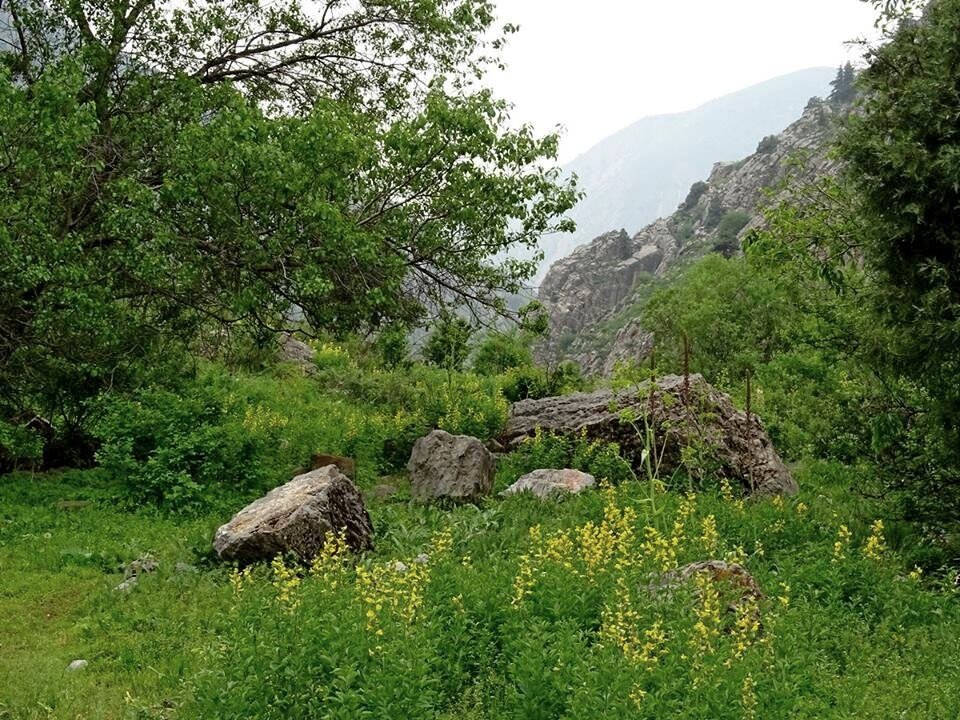 ЛЮБИМАЯ И БЛИЗКАЯ РЕЧКА. - Виктор Осипчук ЛЮБИМАЯ И БЛИЗКАЯ РЕЧКА. - Виктор Осипчук