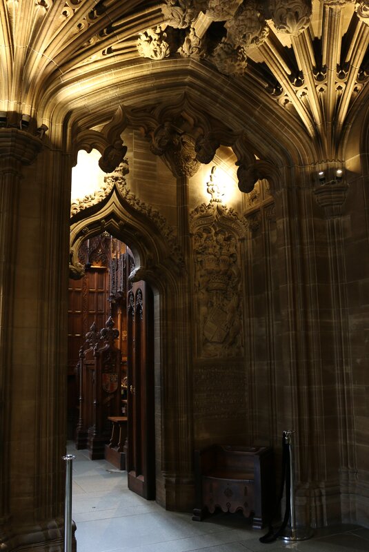 Портал - Ольга 