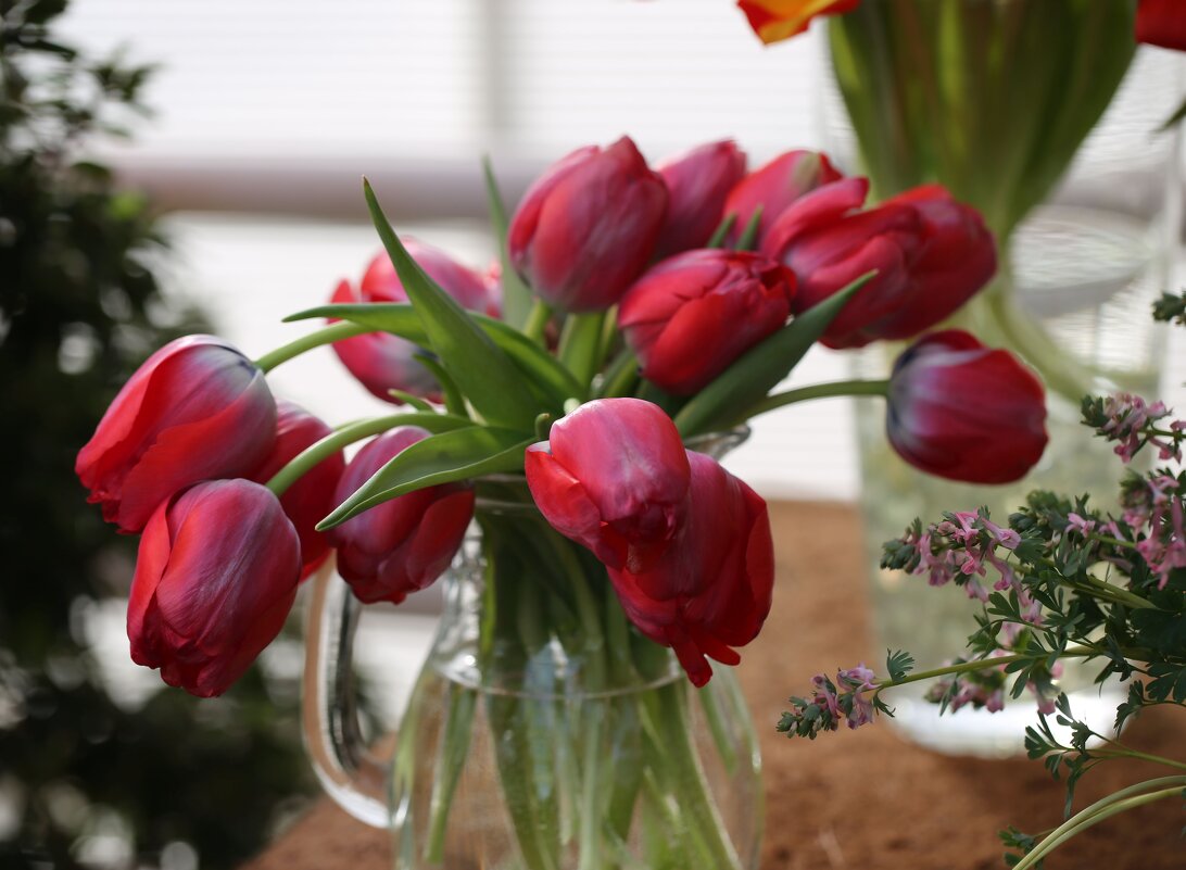 Тюльпаны - ZNatasha - Тюльпаны - ZNatasha -