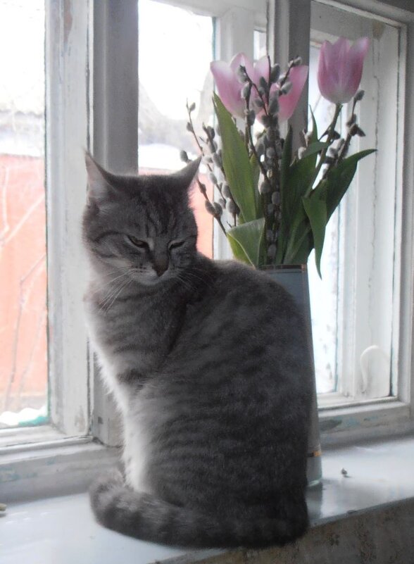 Симкин букет :) - Наталья Симкин букет :) - Наталья