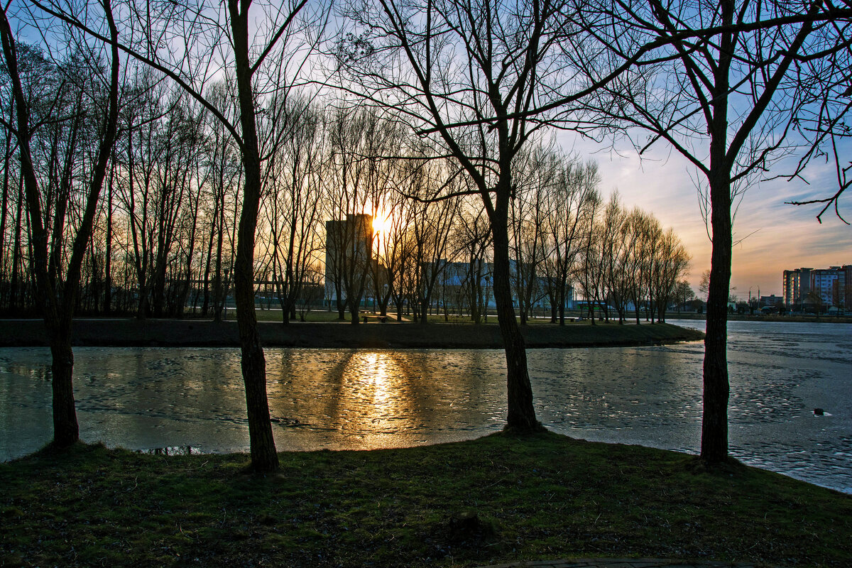 парк городе. - Андрей Сосновский парк городе. - Андрей Сосновский