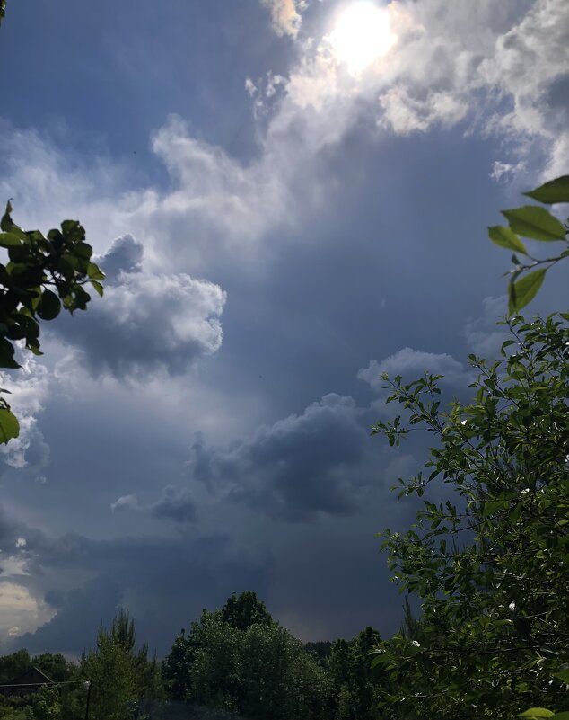 После дождя - Маруся Маруся