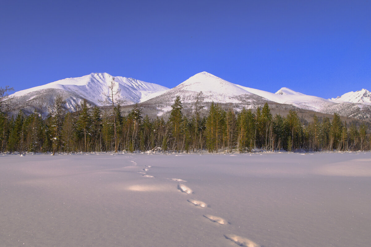 *** - Дмитрий *** - Дмитрий