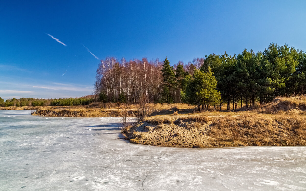 Начало Подмосковной весны 3 - Андрей Дворников Начало Подмосковной весны 3 - Андрей Дворников