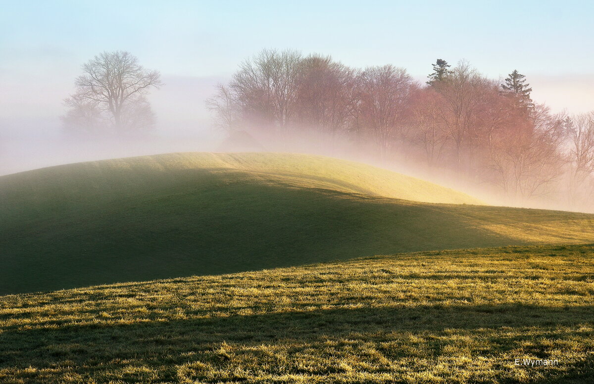 misty - Elena Wymann