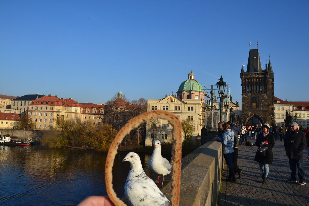 На Карловом мосту. - Надежда На Карловом мосту. - Надежда