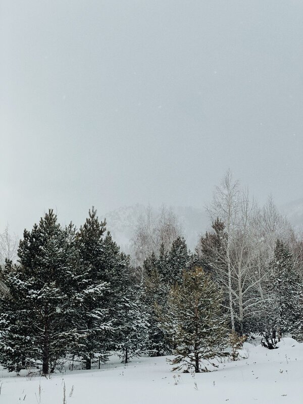 Март - Георгиевич Март - Георгиевич