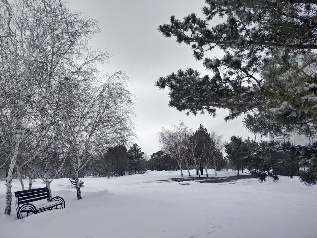Зимний парк - Андрей Хлопонин