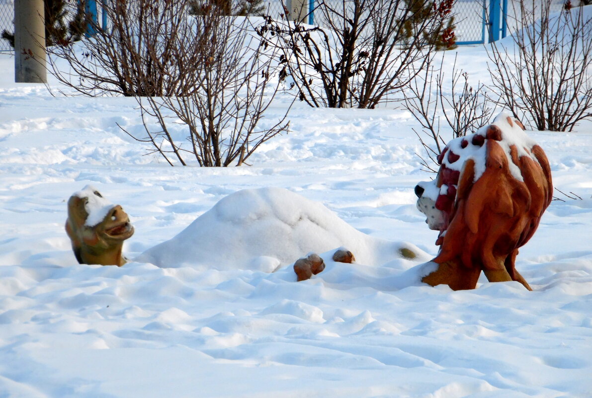 В Сибири на   солнышке не полежишь.... - nadyasilyuk Вознюк