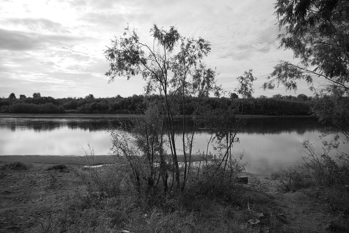 Название отсутствует - Денис Безногов Название отсутствует - Денис Безногов