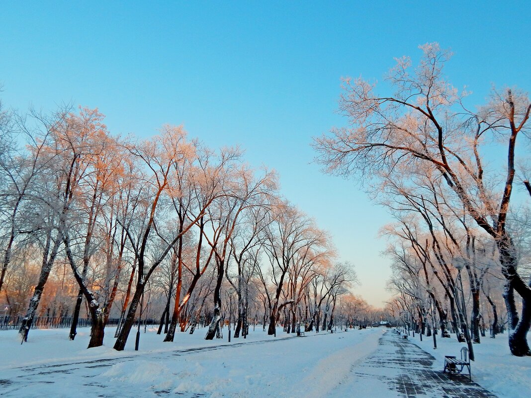 Зимнее утро - Сергей Швечков