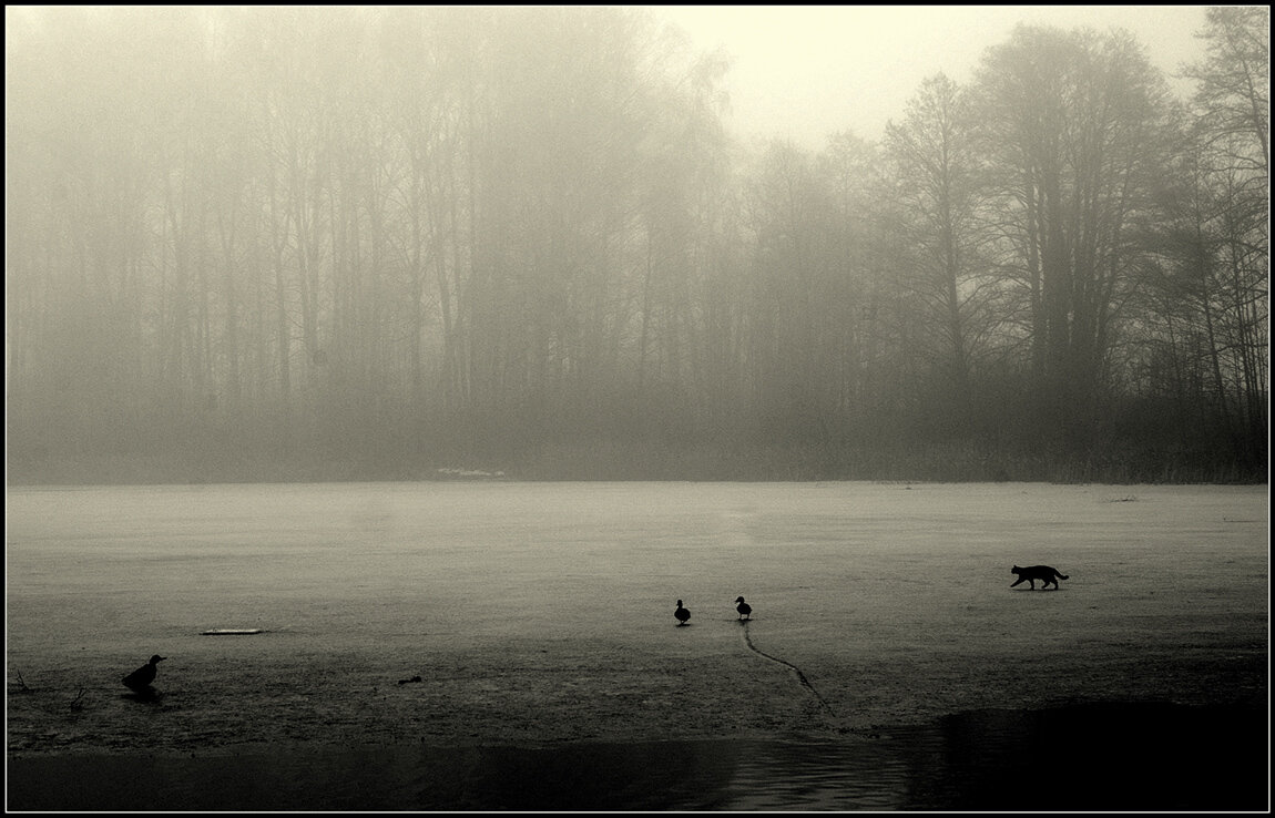 ..охотник.. - Aleksandr Gal