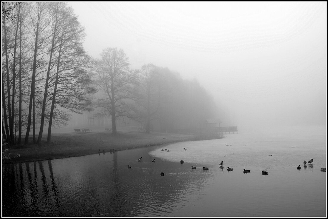 Туман на озере - Aleksandr Gal Туман на озере - Aleksandr Gal