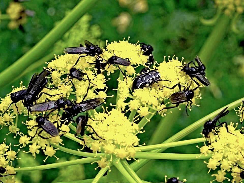 ЛЮБИМАЯ И БЛИЗКАЯ РЕЧКА - Виктор Осипчук ЛЮБИМАЯ И БЛИЗКАЯ РЕЧКА - Виктор Осипчук