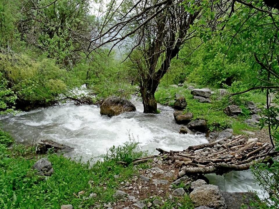 ЛЮБИМАЯ И БЛИЗКАЯ РЕЧКА - Виктор Осипчук