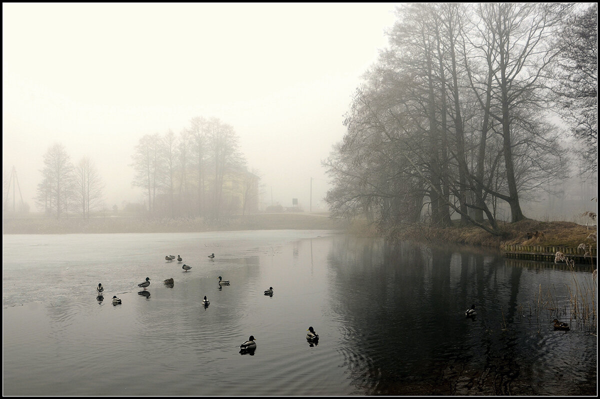 Утренний туман - Aleksandr Gal