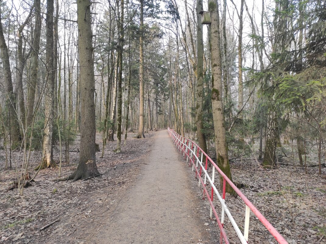 Оздоровительная ходьба... - Игорь Ч.