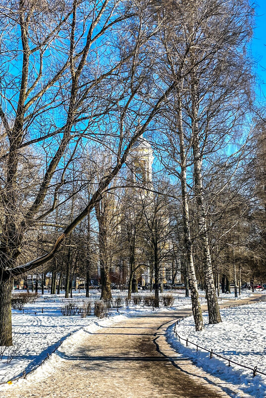 СПб. Князь-Владимирский собор - Виктор Орехов СПб. Князь-Владимирский собор - Виктор Орехов