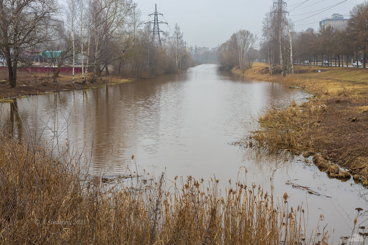 Пасмурный мартовский день - Александр Синдерёв