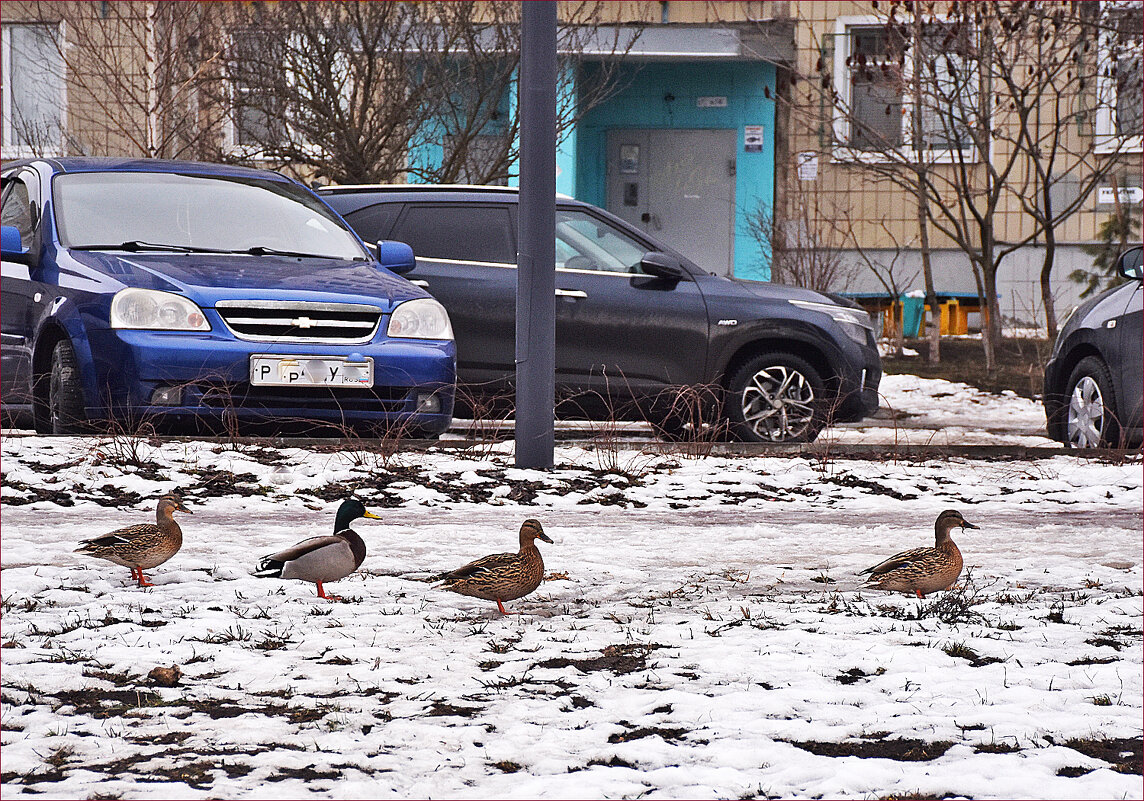 Ждём такси! - Валентина Нефёдова Ждём такси! - Валентина Нефёдова