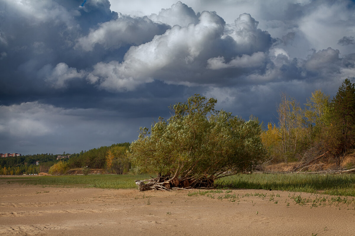* - Александр Лисовский